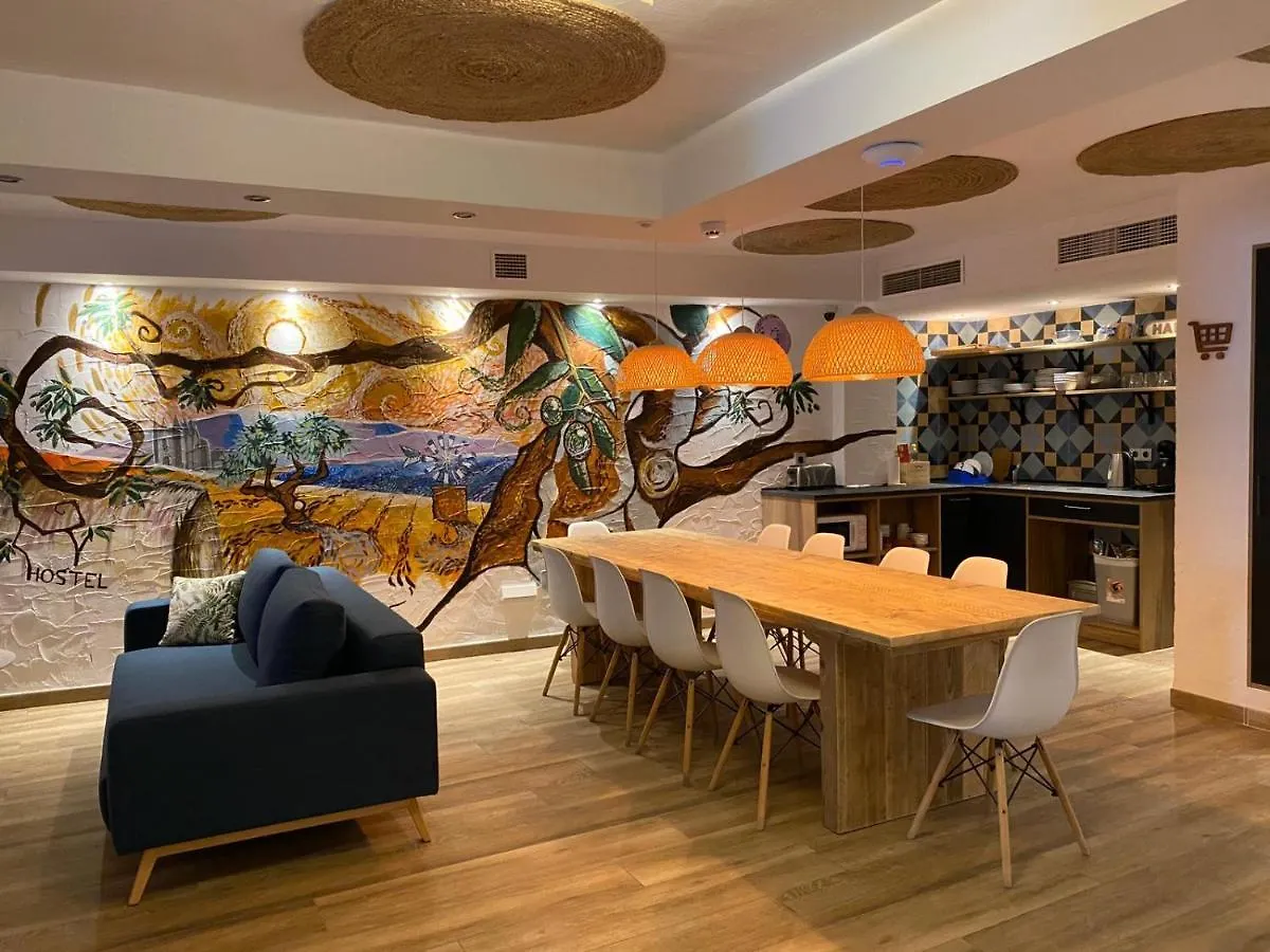 Y Hostel - Albergue Juvenil Palma de Mallorca Spain